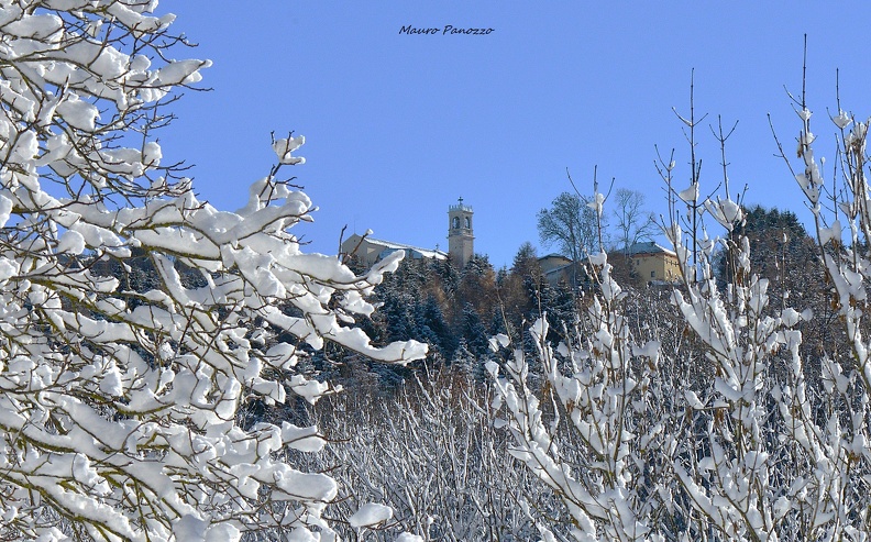 DSC_2547.JPG