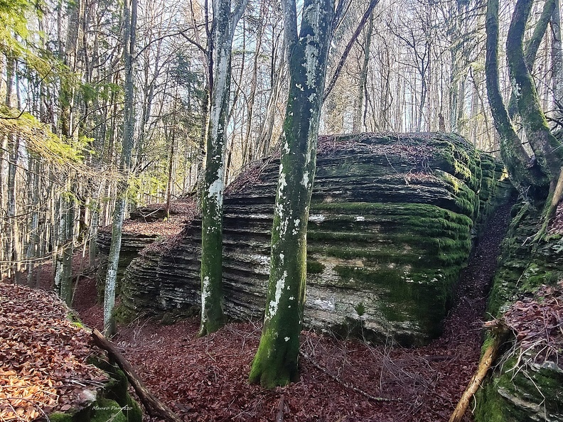 IMG20250202115709.jpg
