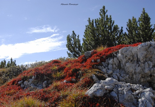Galmarara 24-09 2007 168