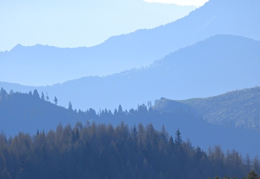 DSC 5008
