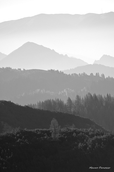 DSC_5000.JPG