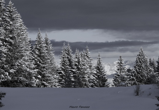 m. erio 28-03-2008 003